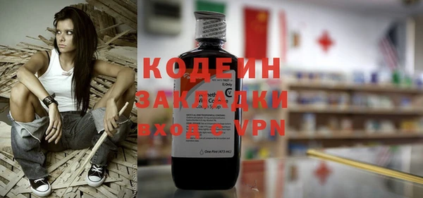крисы Елабуга