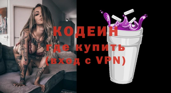 крисы Елабуга
