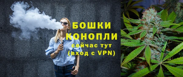 крисы Елабуга