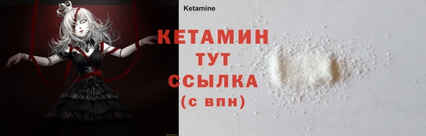 крисы Елабуга