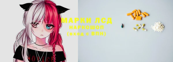 крисы Елабуга