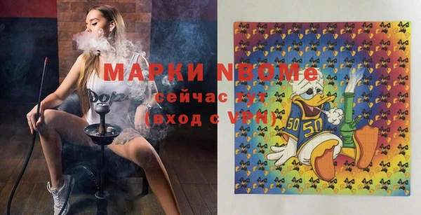 крисы Елабуга