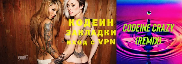 крисы Елабуга