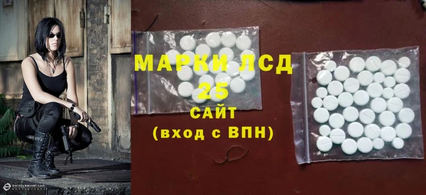 крисы Елабуга